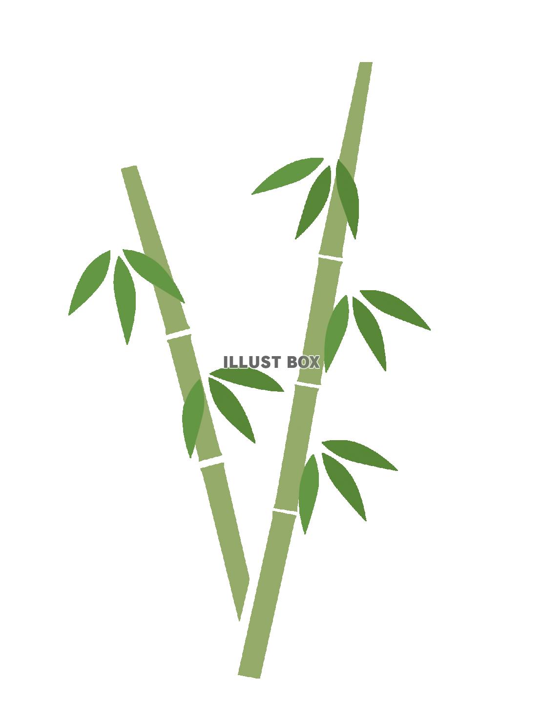 竹のイラスト