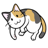 ごろんと転がってる猫　三毛猫