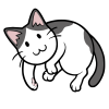 ごろんと転がってる猫　白黒猫