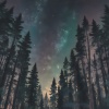 森の中から見える星空