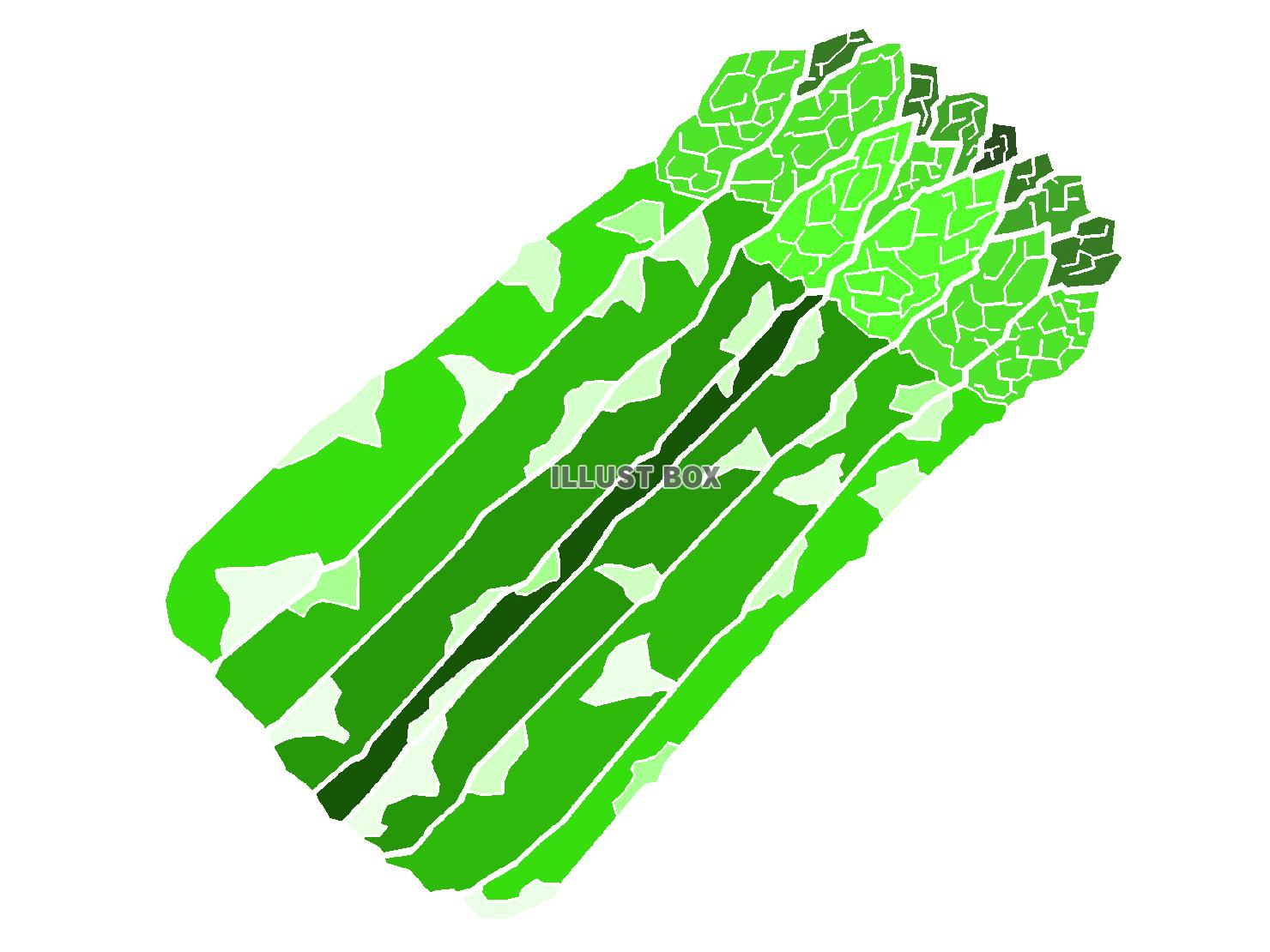緑色のアスパラガスのシルエット