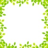 新緑の木の葉フレームシンプル飾り枠イラスト