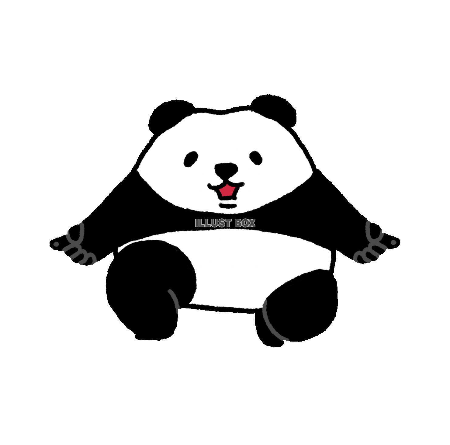 パンダシリーズ　あのファイティングポーズ