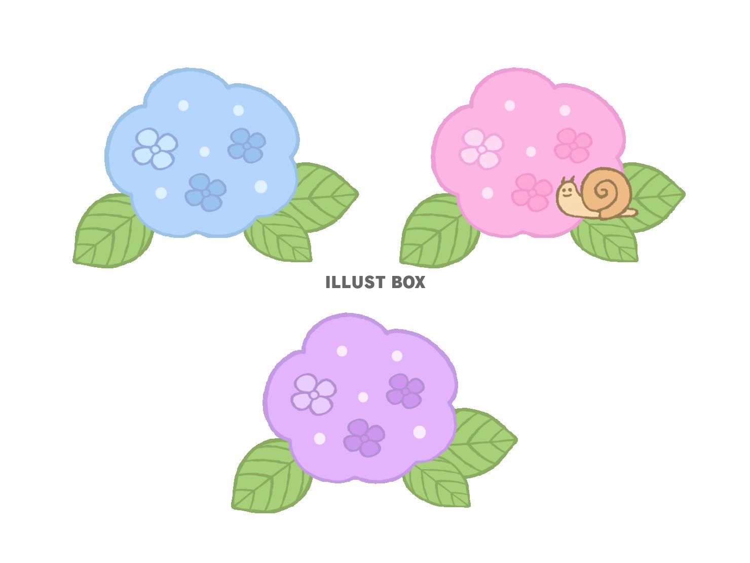 3色の紫陽花とかわいいカタツムリ
