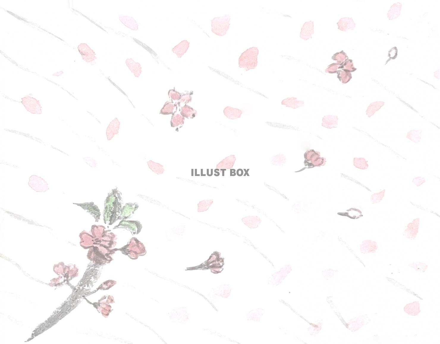 手描きの桜吹雪の水彩画