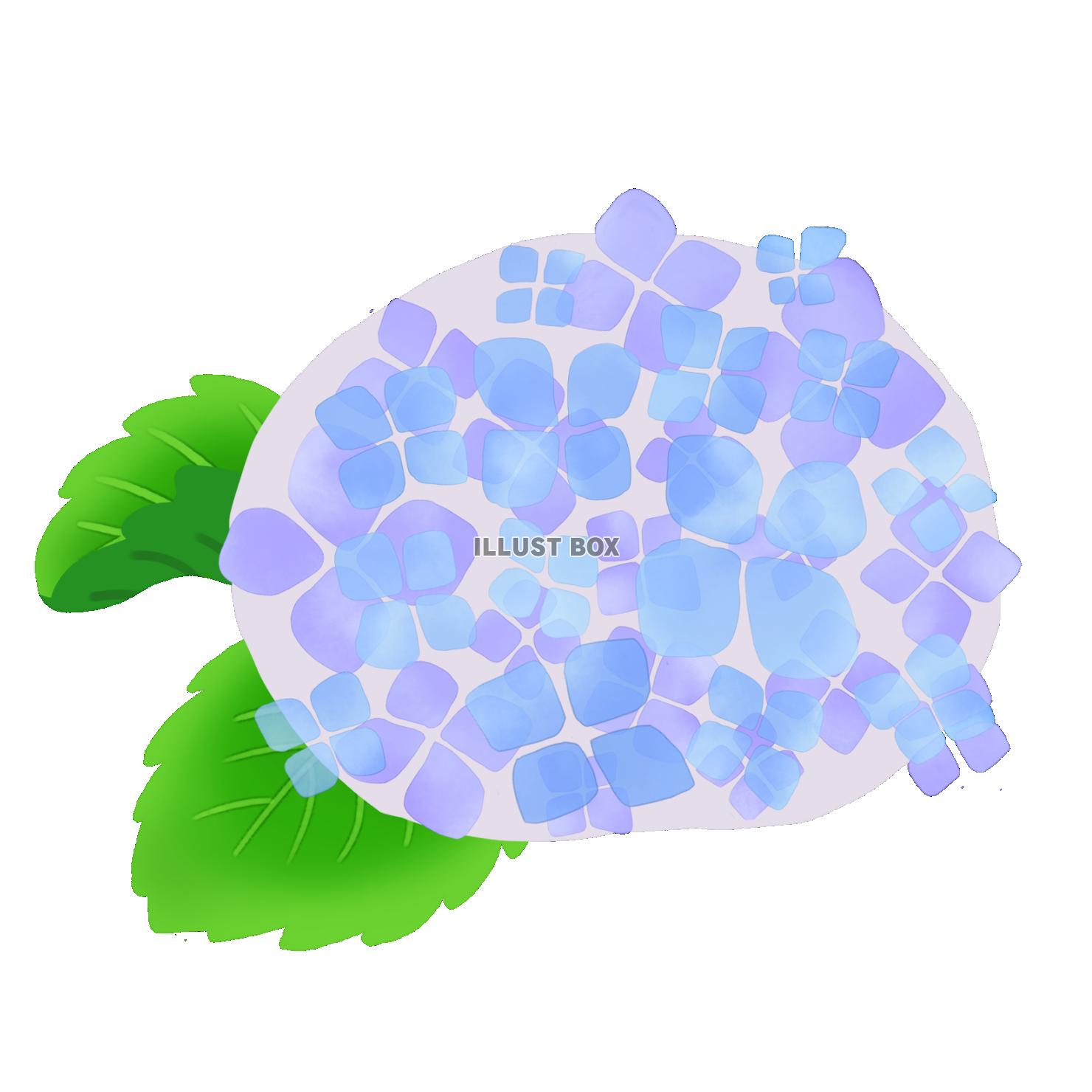 かわいい水彩のあじさい 葉っぱ付き 紫