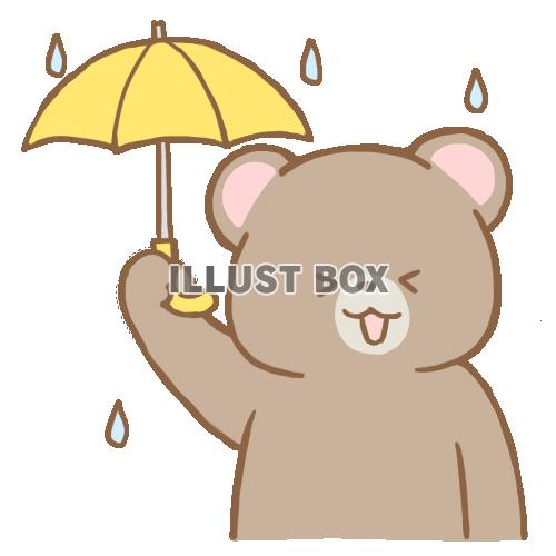 傘をさすクマさん　雨