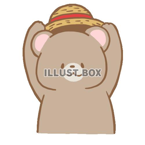 帽子をかぶるクマさん