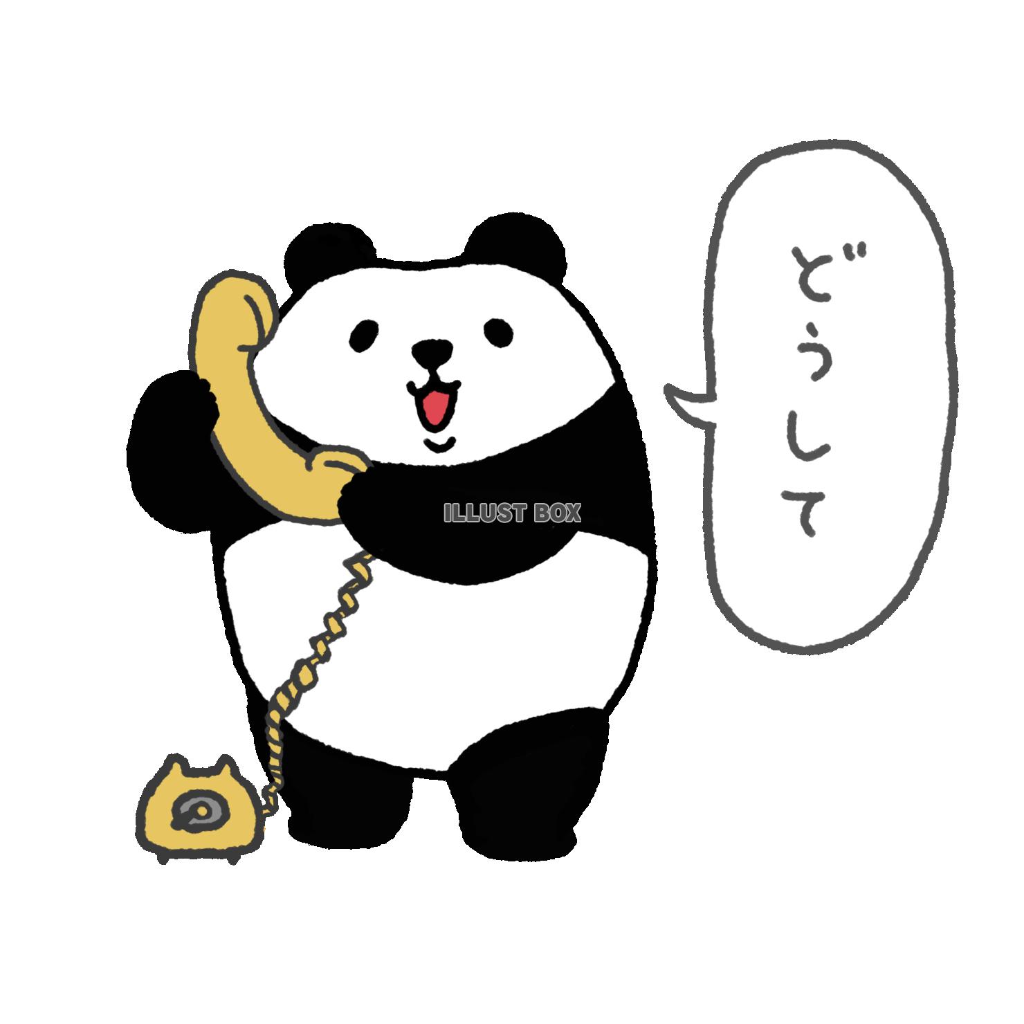 パンダシリーズ　どうして
