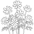 秋桜の線画