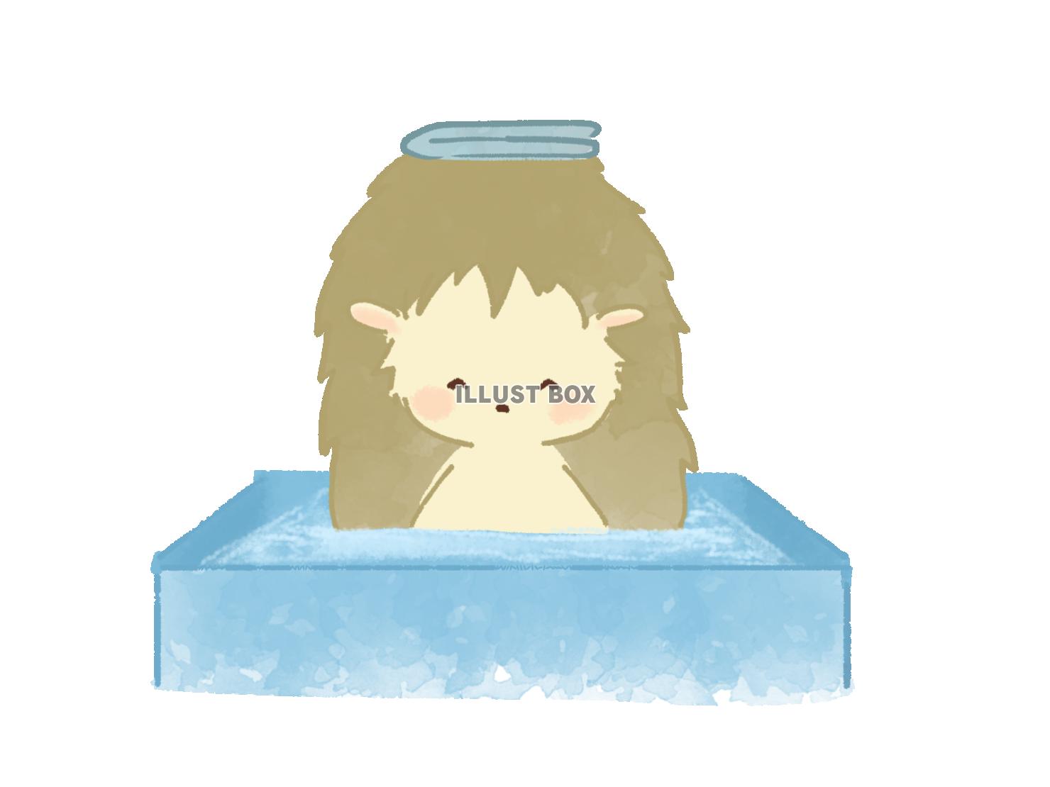 水風呂に入るハリネズミのイラスト