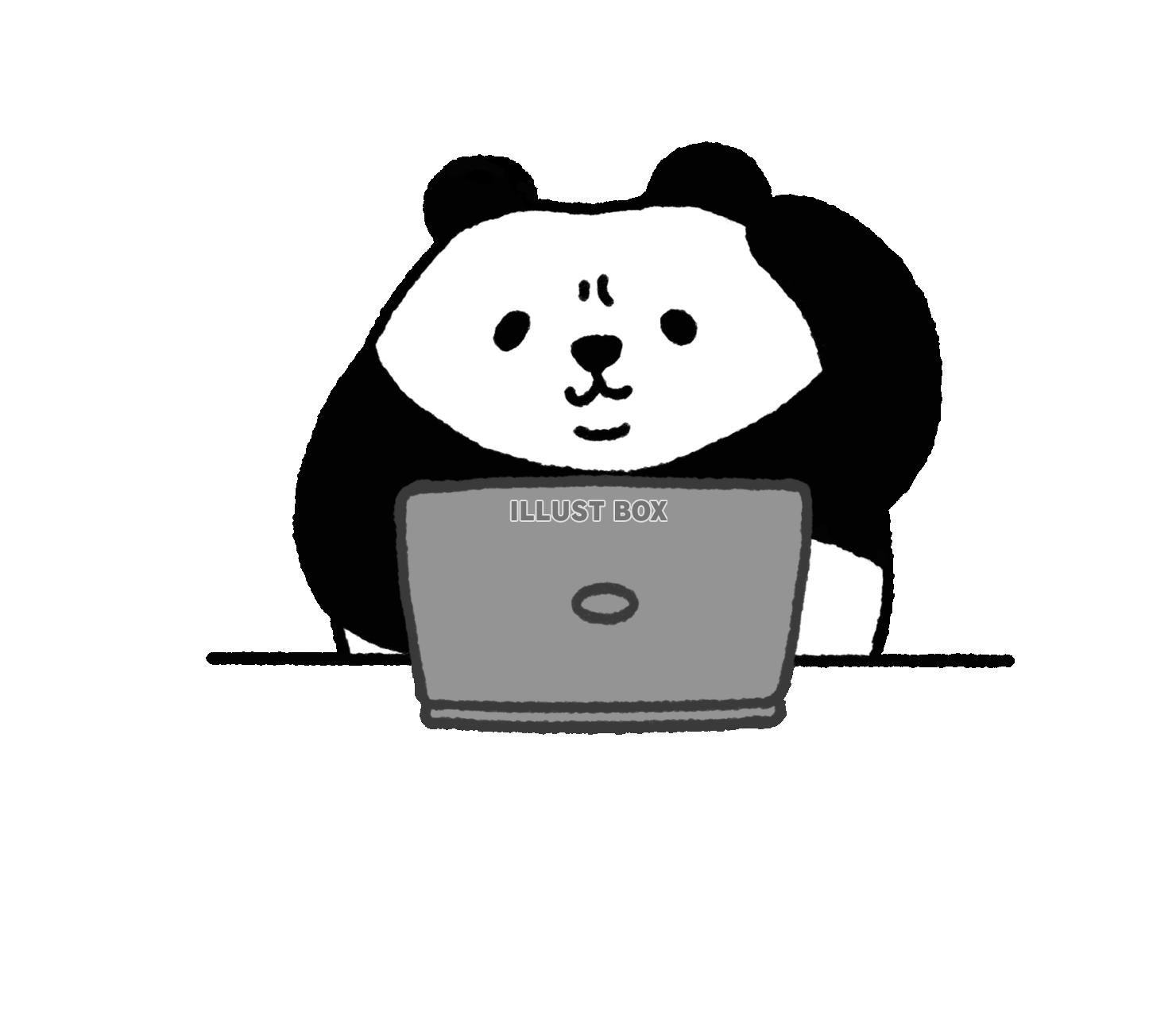 パンダシリーズ　パソコンに向かい悩む