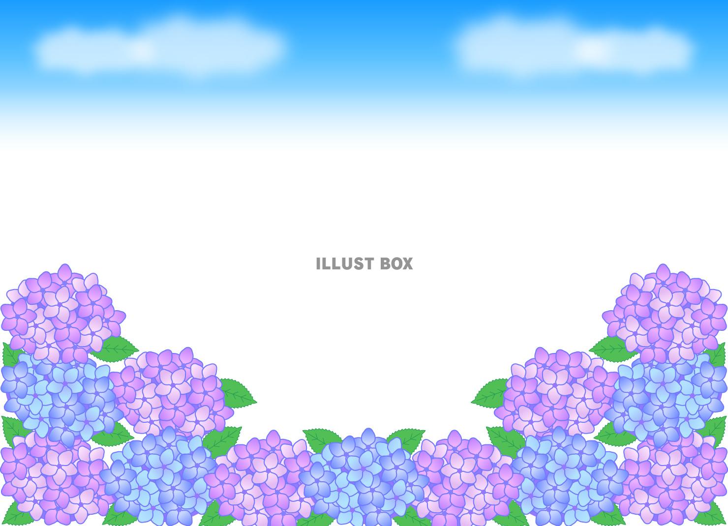 青空・紫陽花フレーム