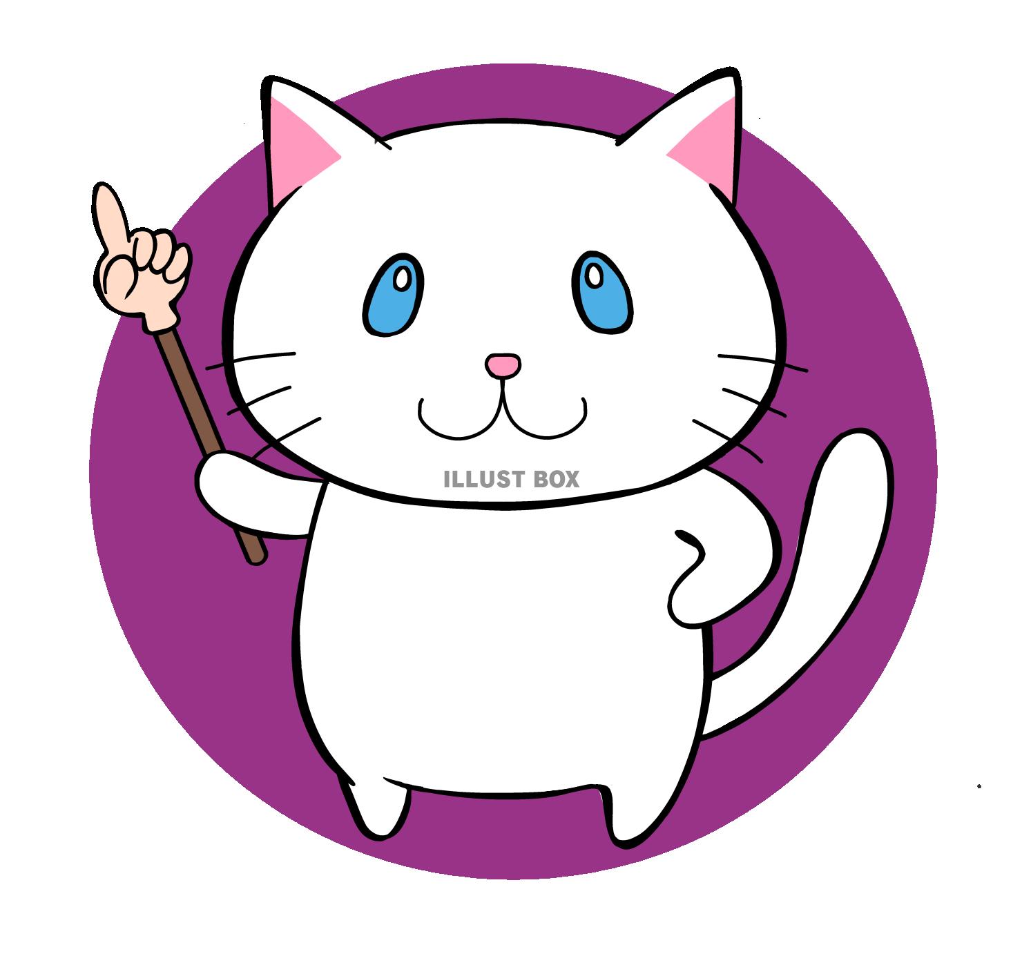 青目の白猫ちゃん　