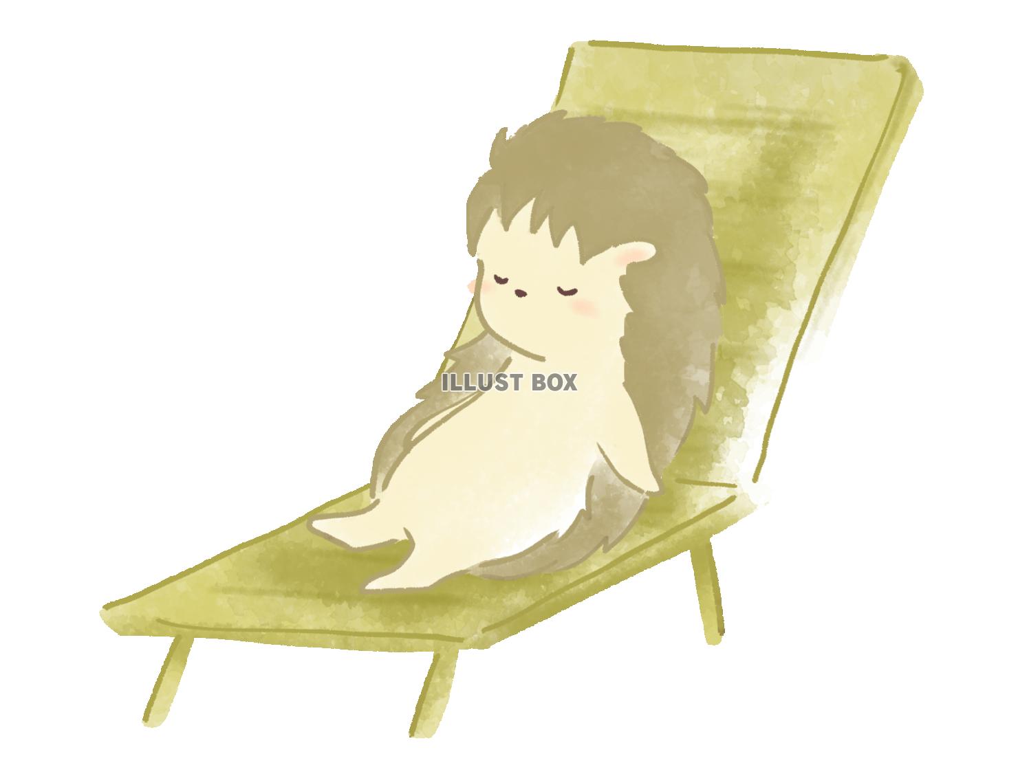 外気浴をするハリネズミのイラスト