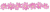 秋桜のライン