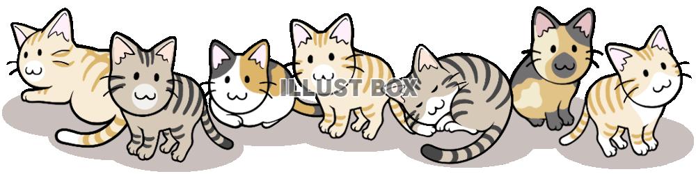 猫ライン