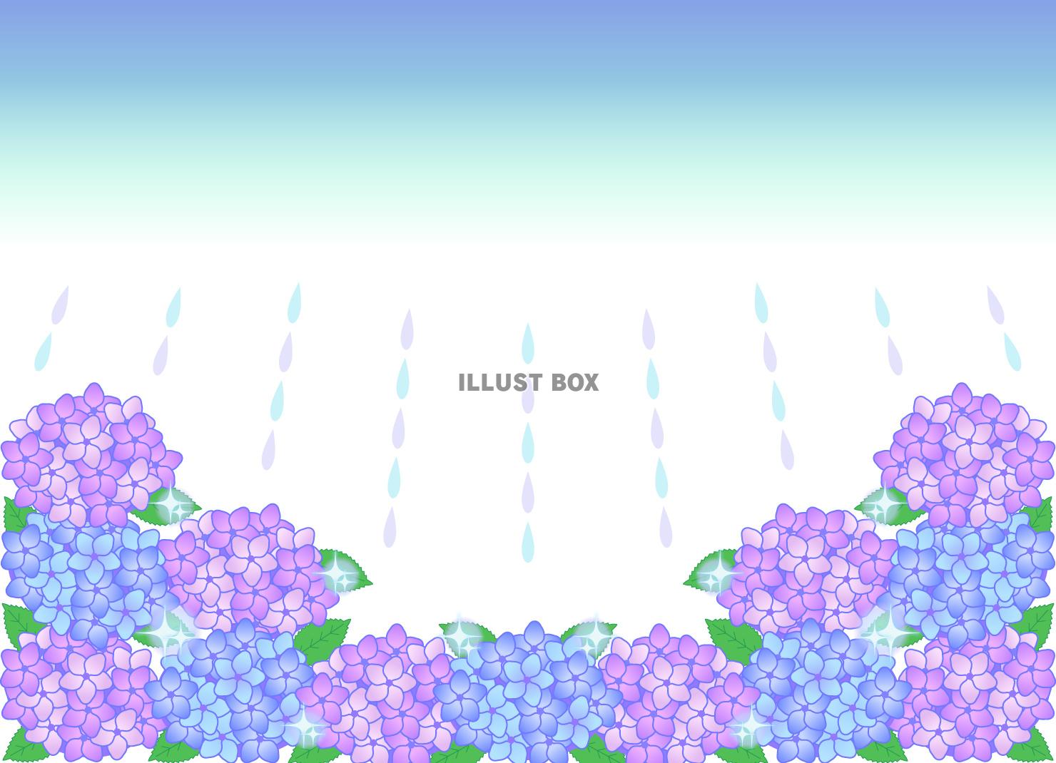 紫陽花フレーム（雨）