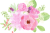  ピンク紫陽花と薔薇のアレンジシリーズ　イラスト１
