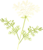 ピンク紫陽花と薔薇のアレンジシリーズ　イラスト２