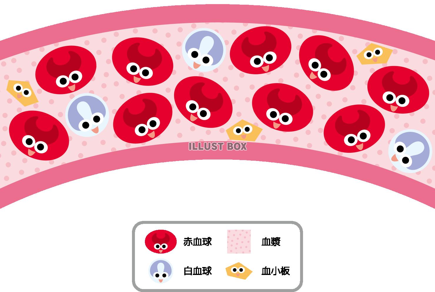 血管と血液の成分キャラクター
