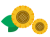 ヒマワリのイラスト