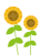 ヒマワリのイラスト