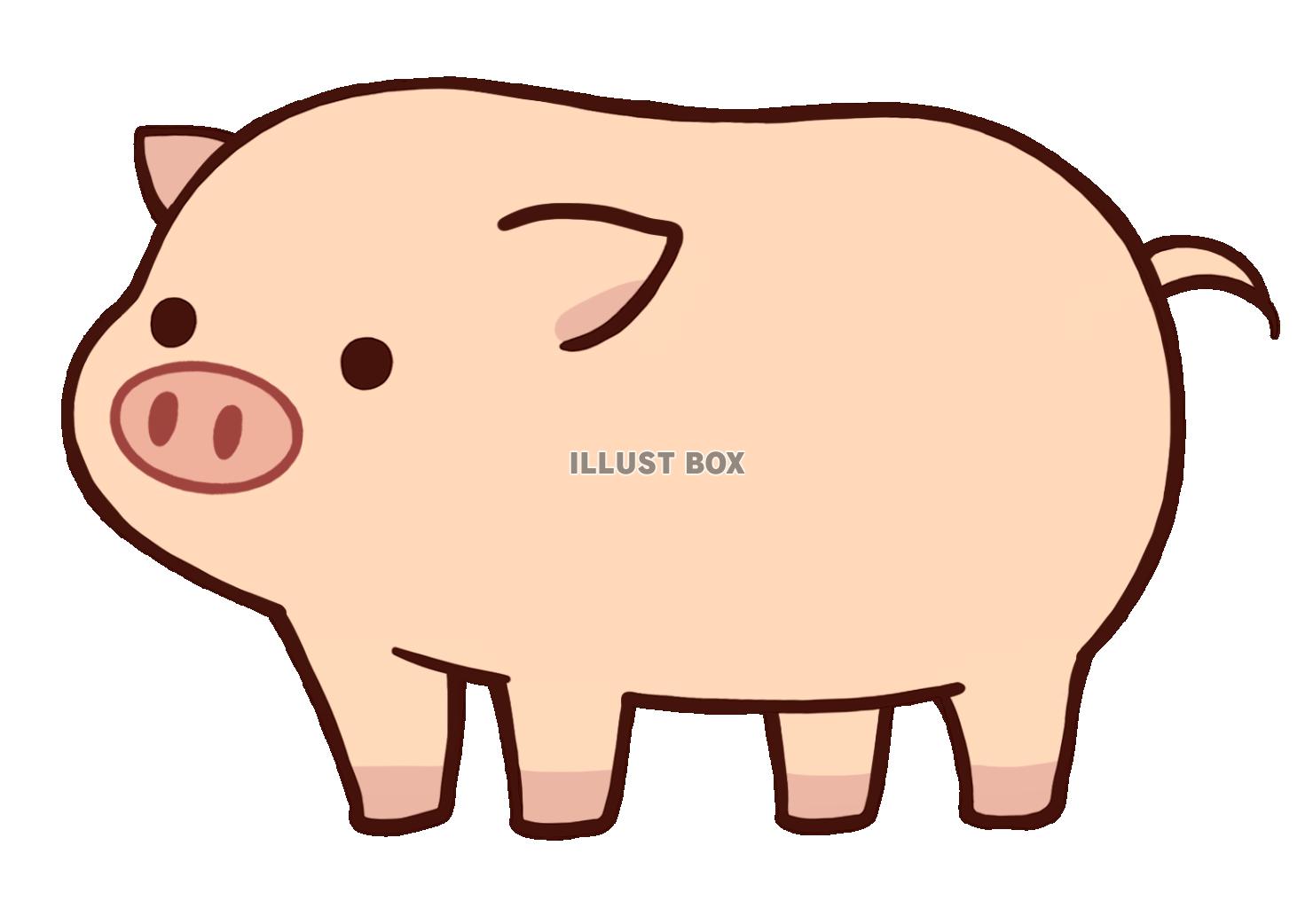 豚のイラスト