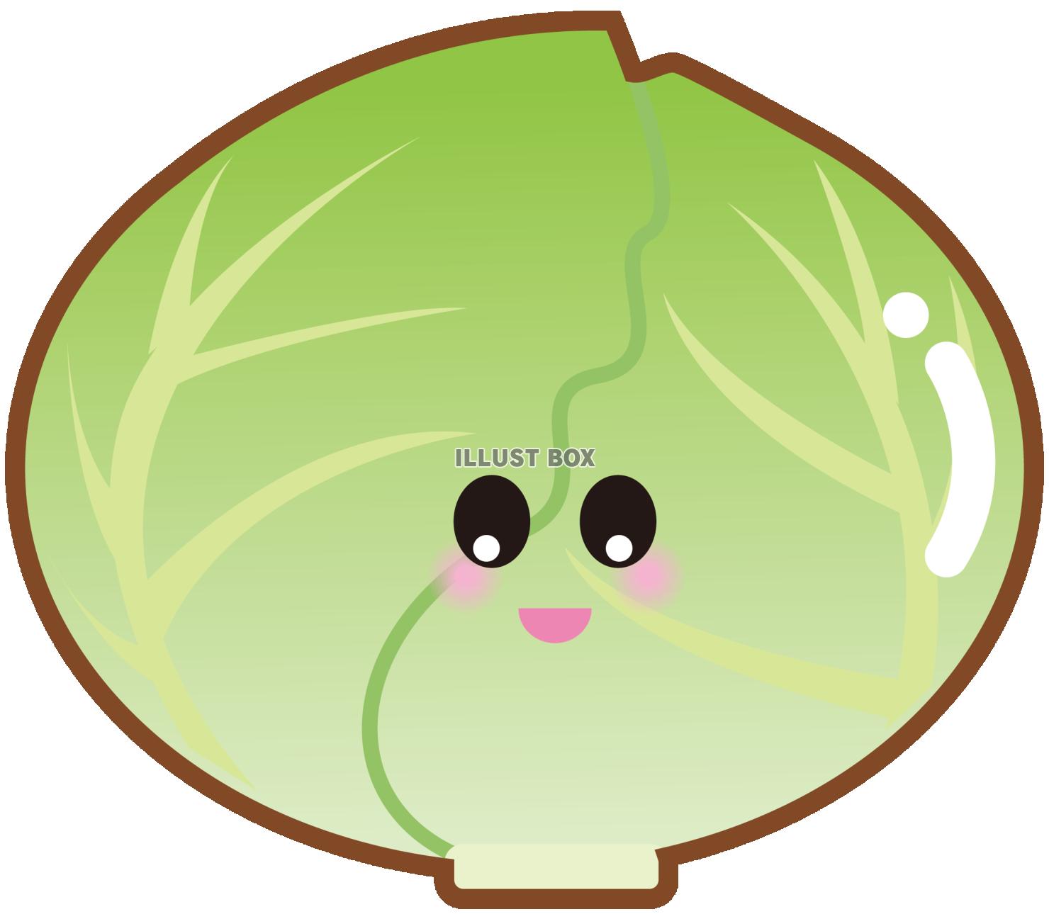 かわいいキャベツ（透過PNG）EPSはCS2版