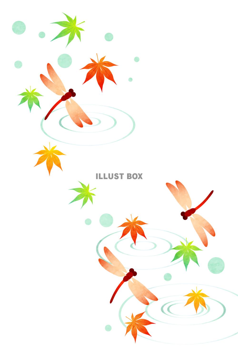 赤とんぼと紅葉の残暑見舞いはがきタテ