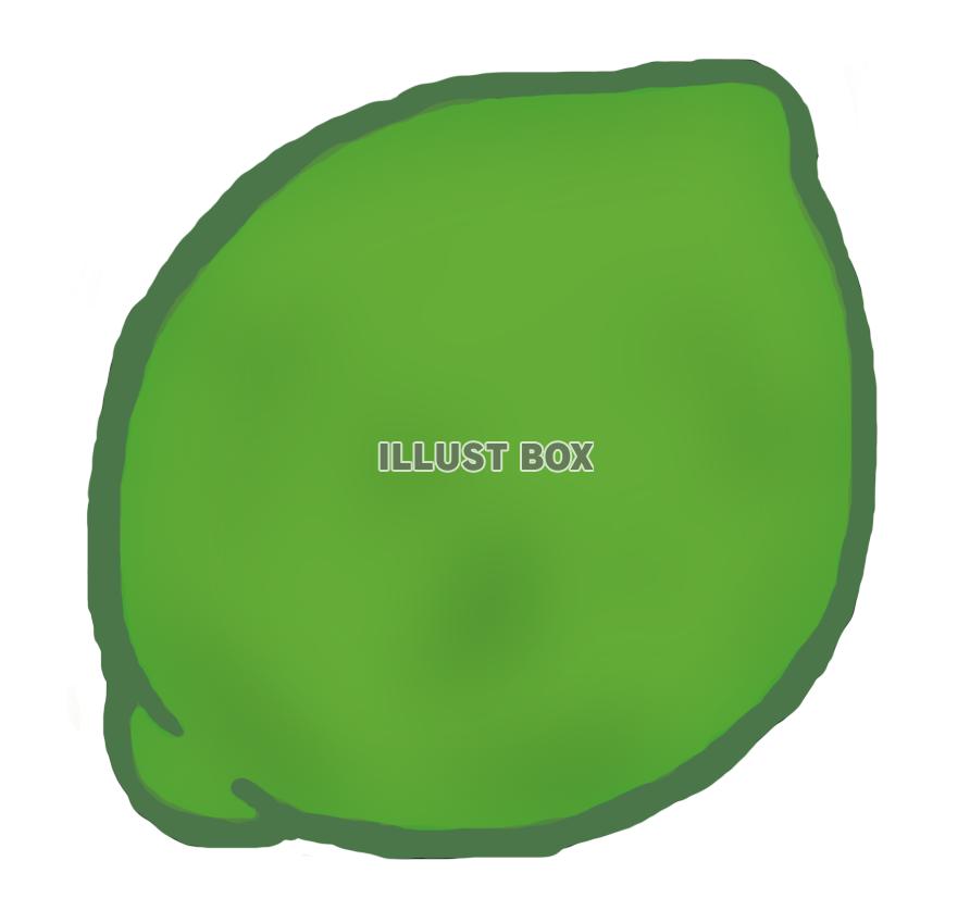 ライム(png)