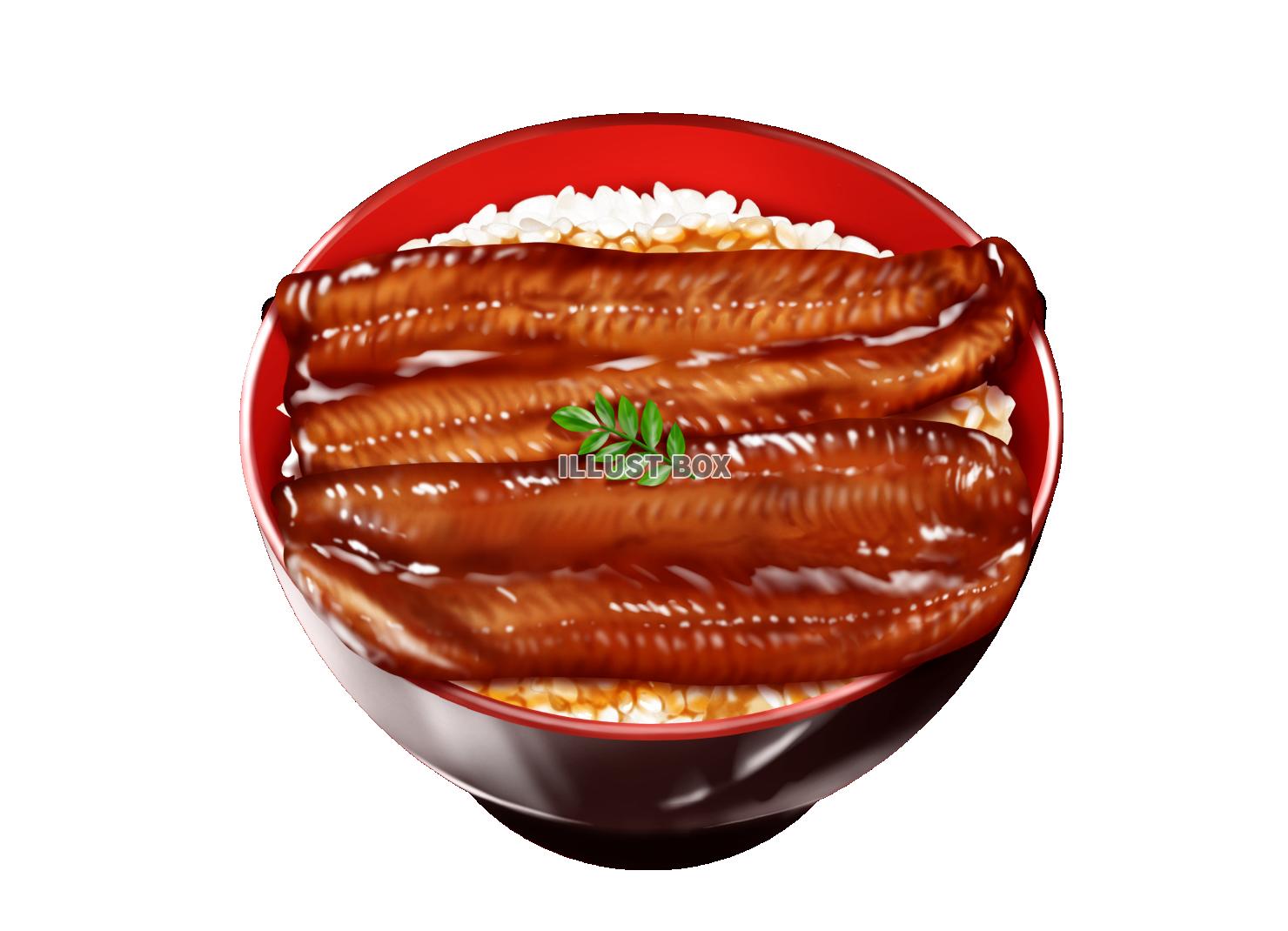 ツヤツヤうな丼