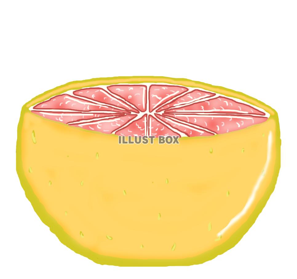 ピンクグレープフルーツ(断面A)png