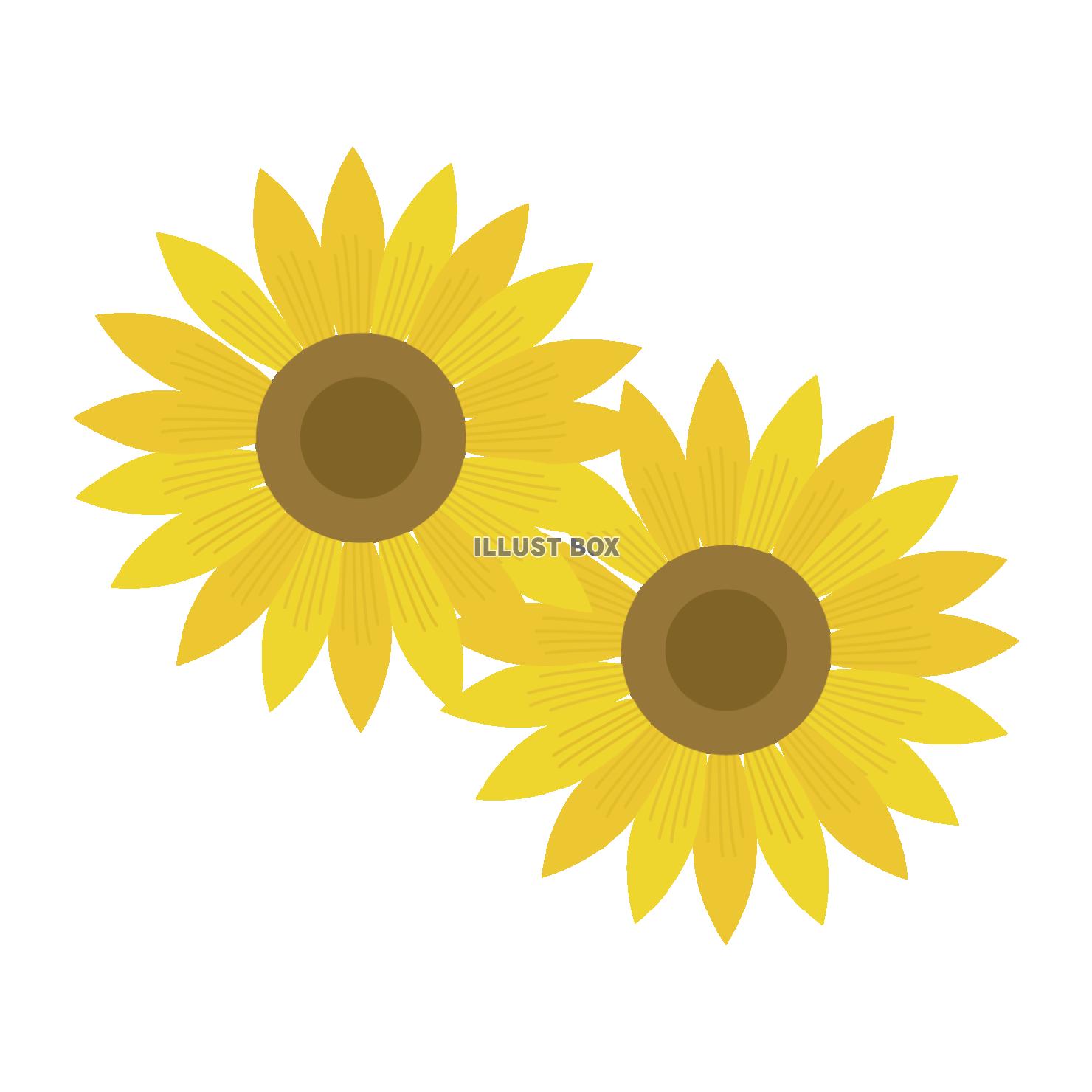ひまわりのイラスト