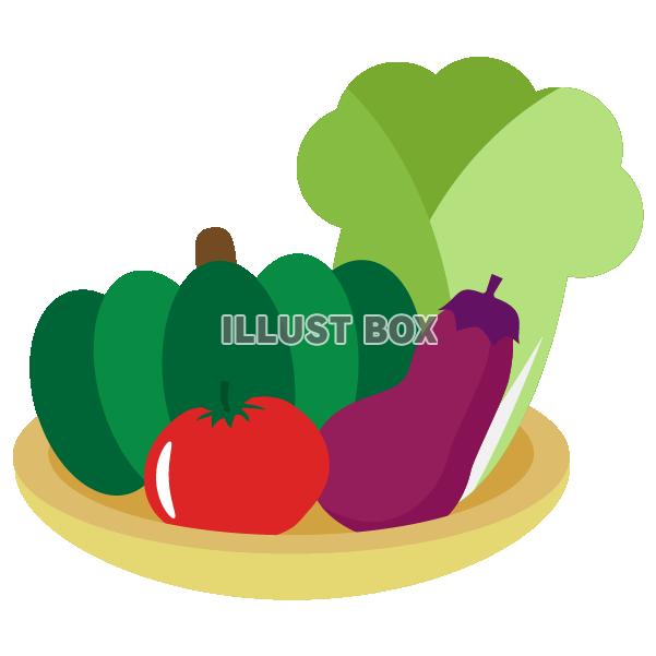 野菜盛り合わせ　白菜、かぼちゃ、茄子、トマト
