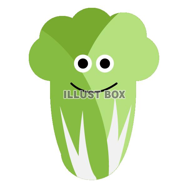 顔つきの白菜