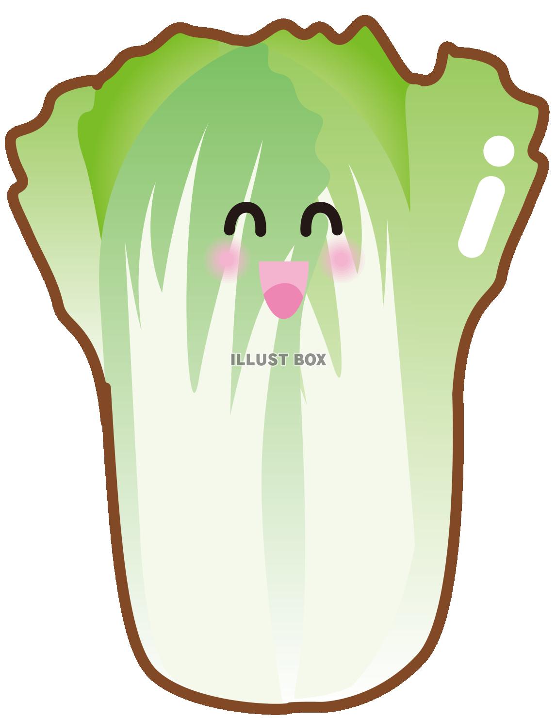 かわいい白菜（透過PNG）EPSはCS2版