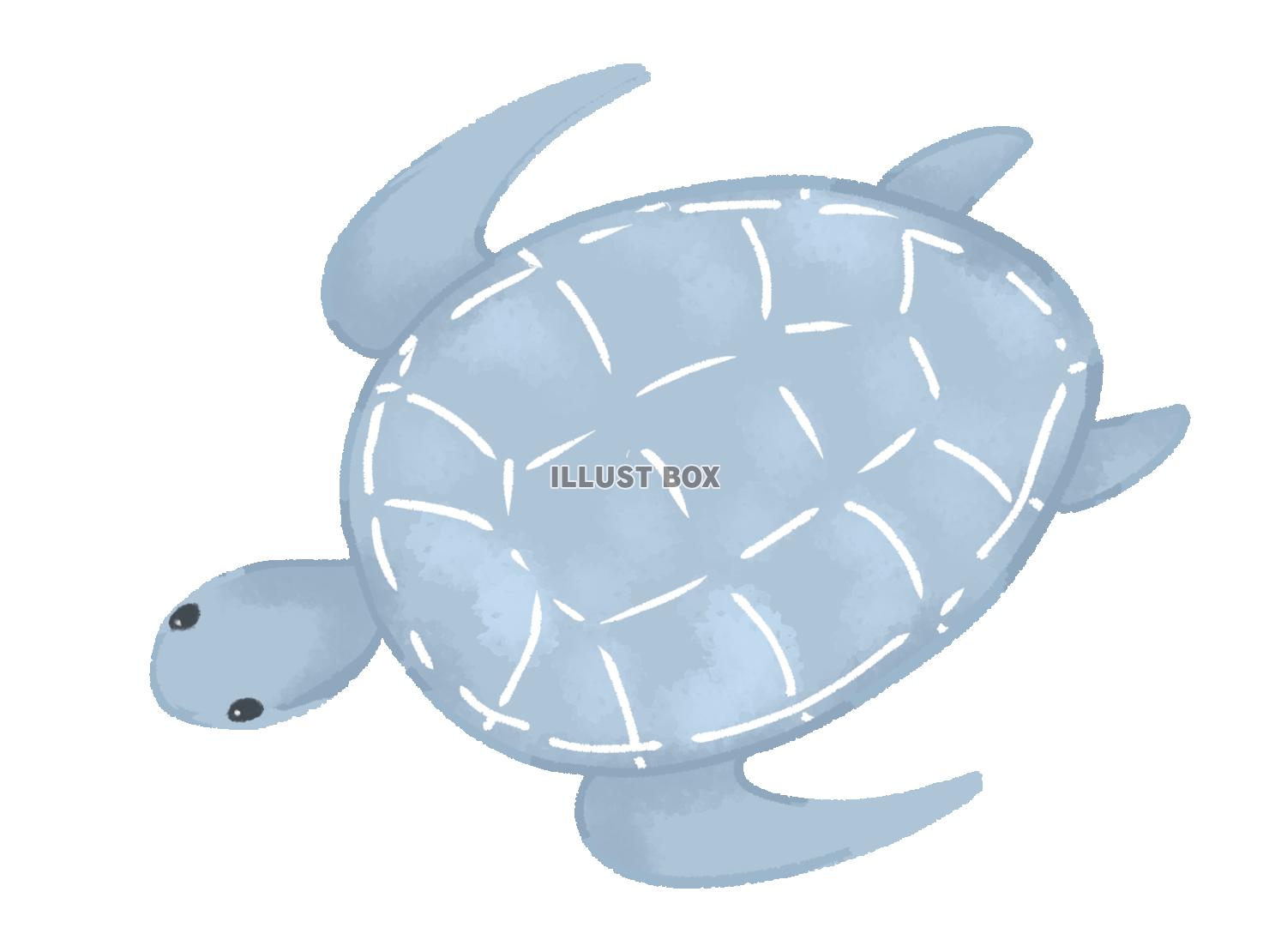 シンプルなウミガメのイラスト