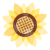 花弁が透けている水彩風のひまわり
