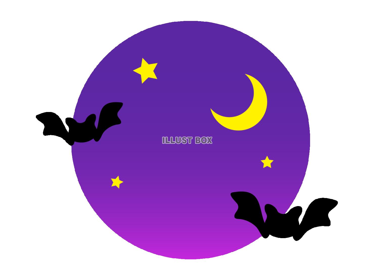 月夜のコウモリ