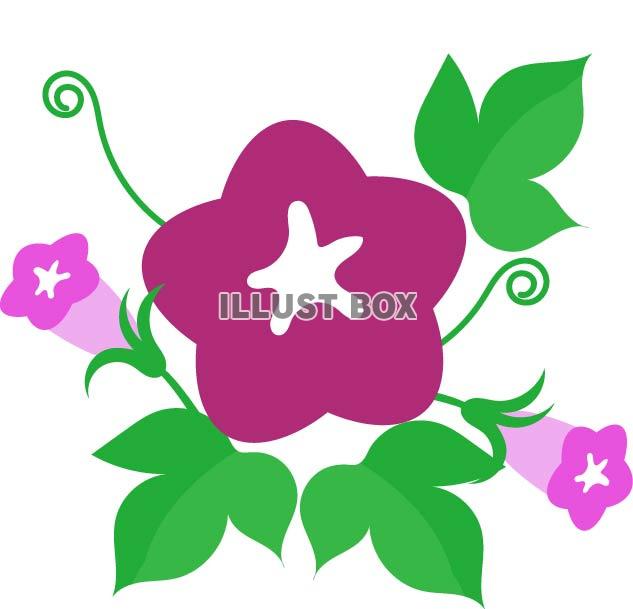 朝顔の花のワンポイントイラスト