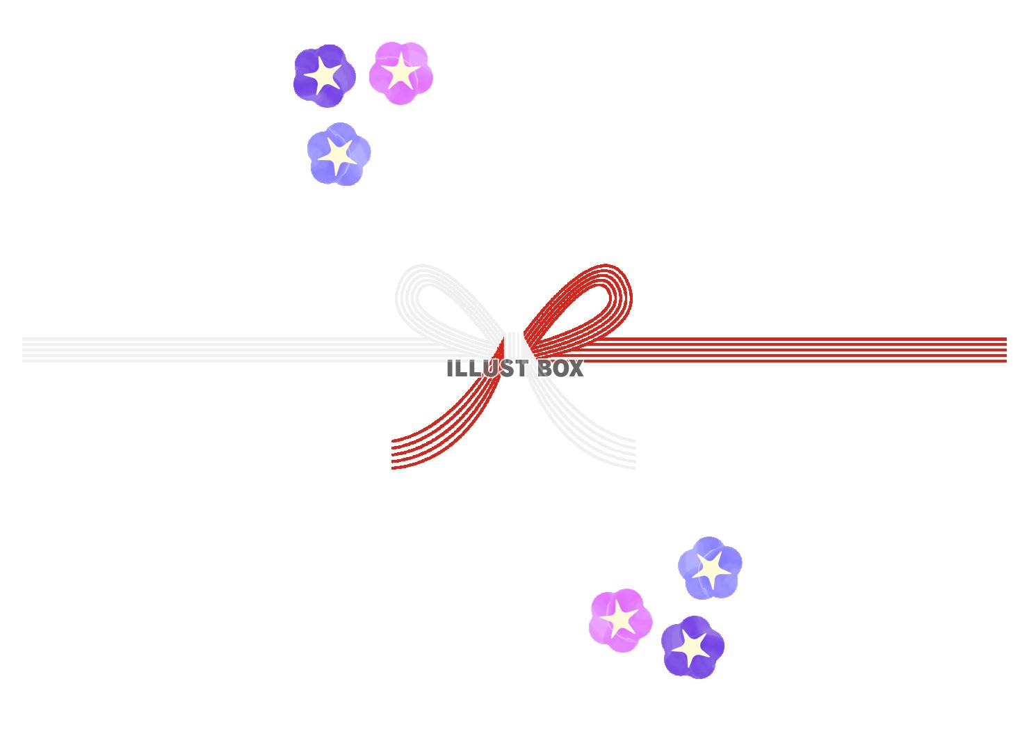 朝顔の花の水引　文字なし