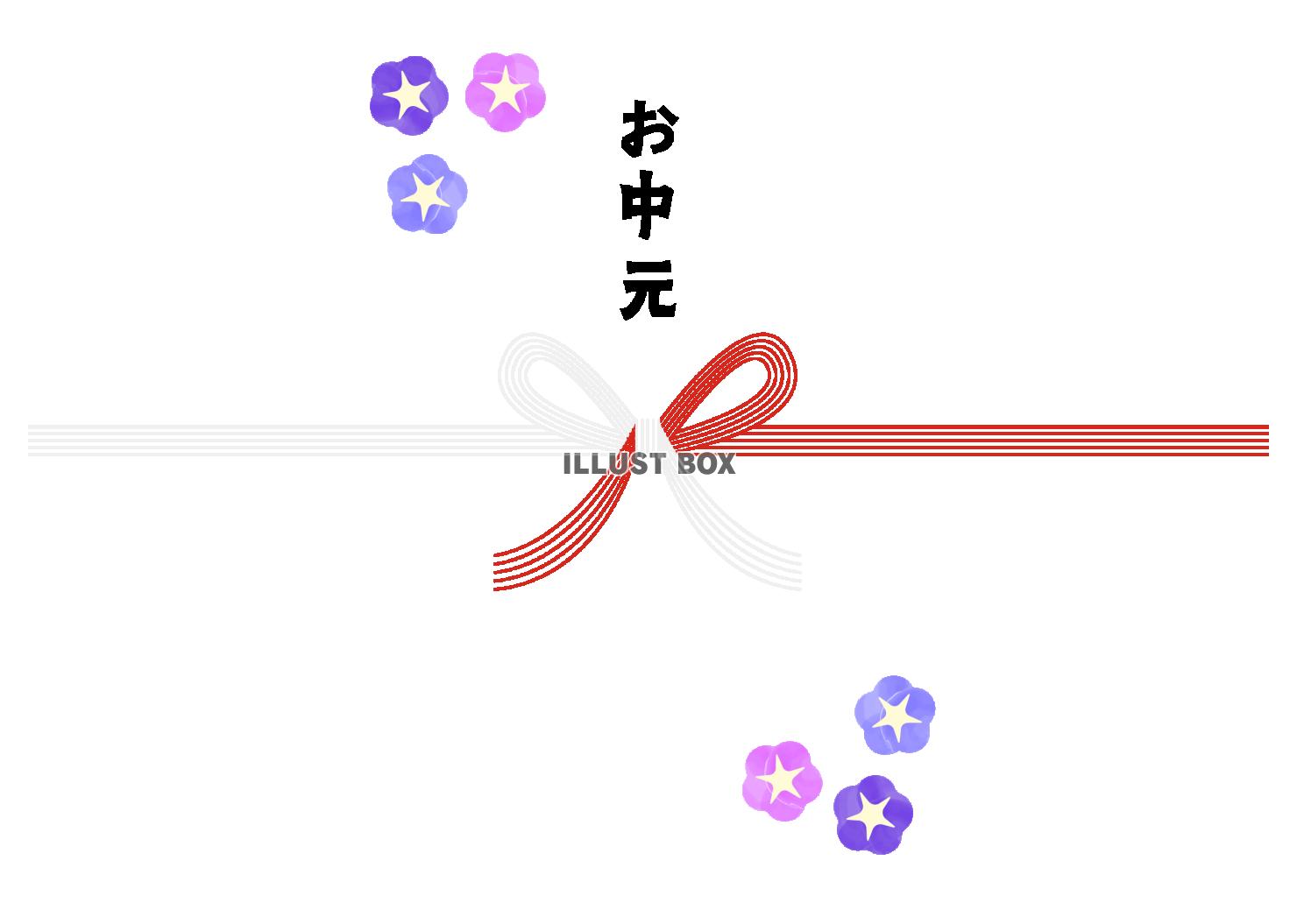 朝顔の花のお中元の水引