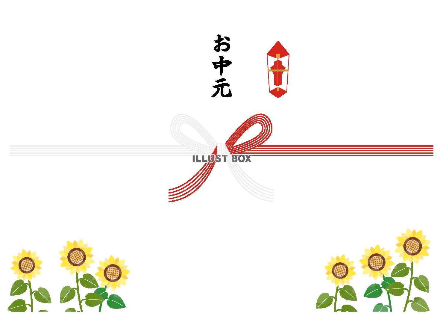 向日葵のお中元の水引04