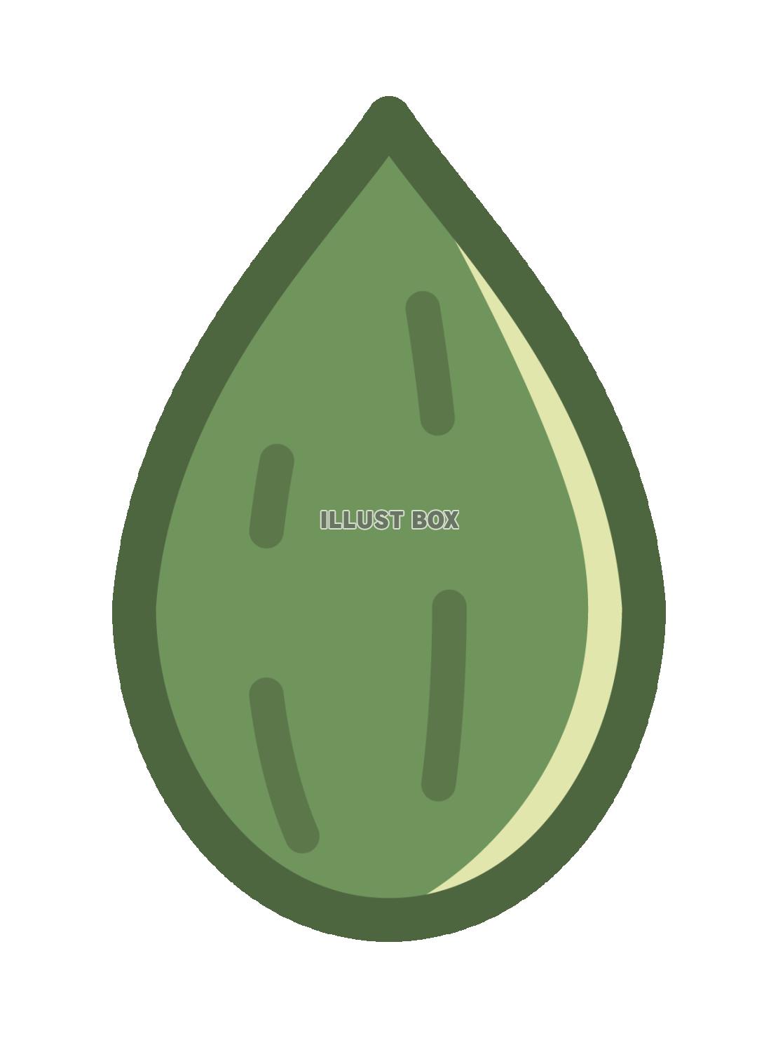 かぼちゃの種