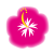 水彩風のピンク色ハイビスカス