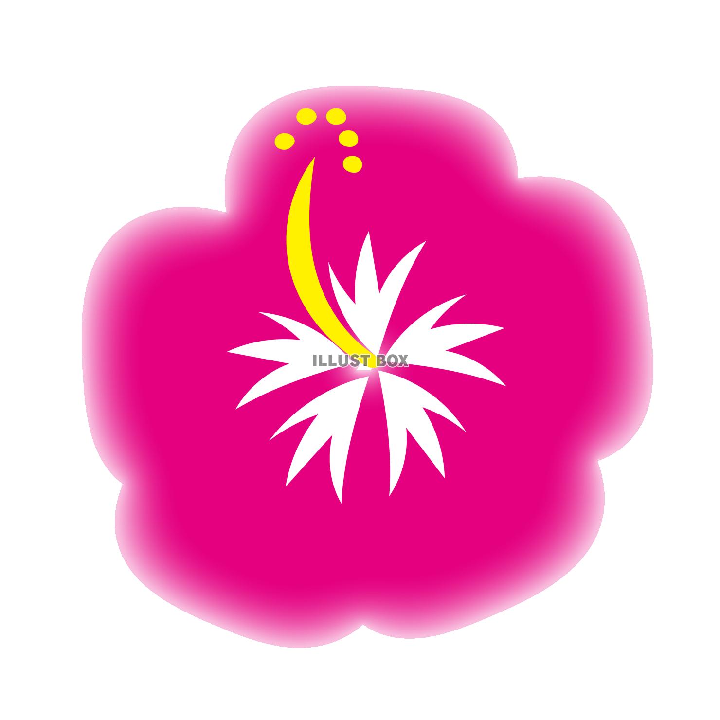 水彩風のピンク色ハイビスカス