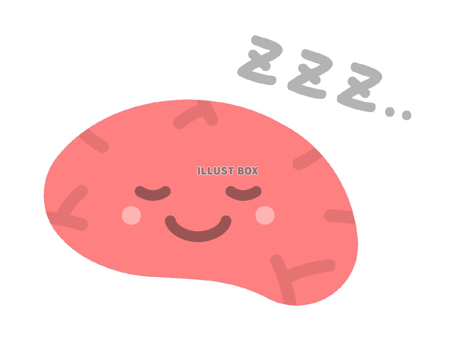 眠る脳