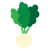 かぶ