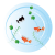 涼しげな金魚と水草のイラスト